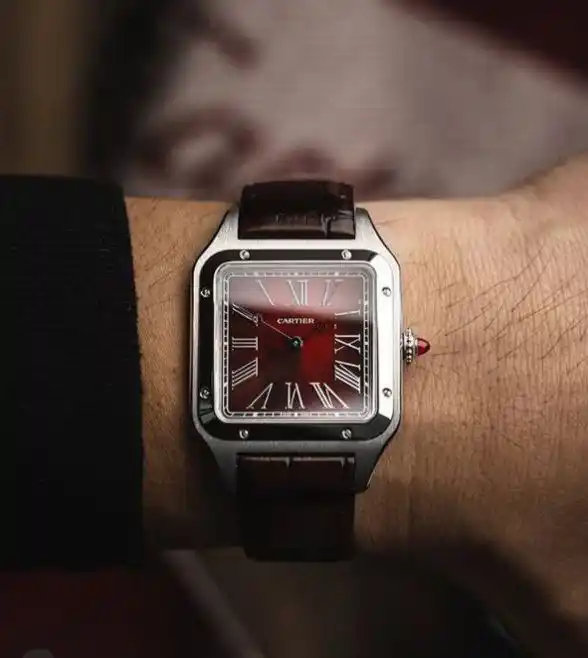 أسعار ساعة كارتير الأصلية